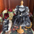 Amya - Noir Lace Gothic Pet Dress Pet Dress Amya
