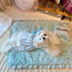 Fleece Lined Gingham Doll Pet Dress for Small Dogs & Cats Pet Dress Miya