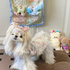 Sweetheart Print Lace Pet Dress Pet Dress Miya