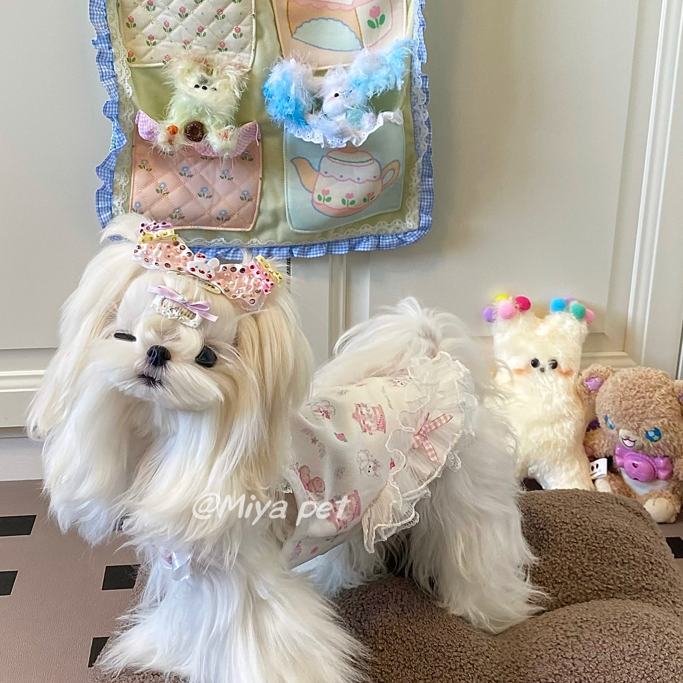 Sweetheart Print Lace Pet Dress Pet Dress Miya