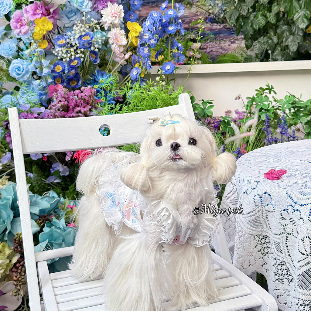 Bear Print Lace Camisole Pet Dress for Small Dogs & Cats Pet Dress Miya