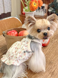 Floral Bubble Hem Cotton Camisole Pet Dress for Small Dogs & Cats Pet Dress Miya