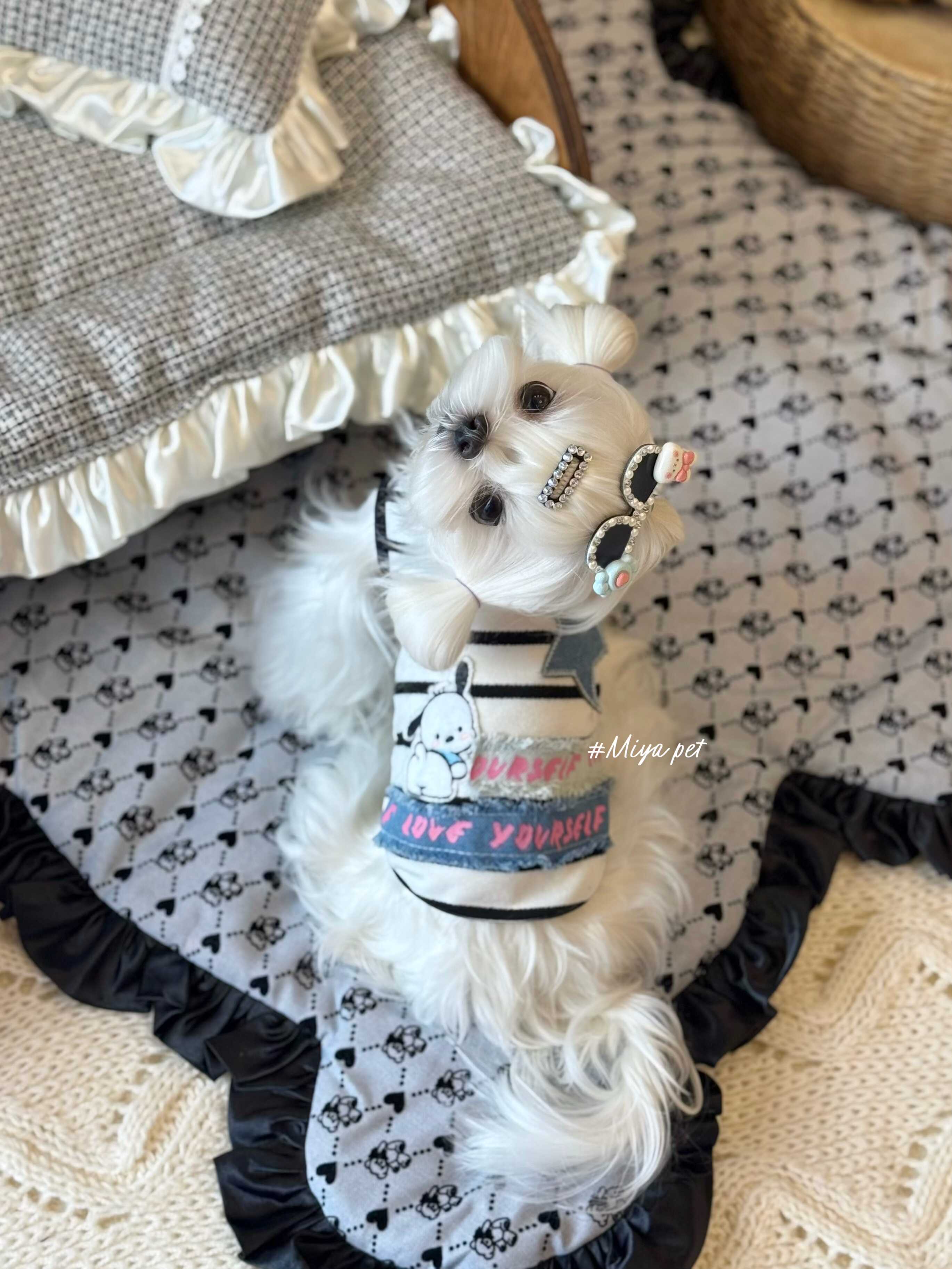 Striped Denim Patch Pet Tank Top for Small Dogs & Cats Pet Top Miya