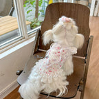 Puppy Print Lace Ribbon Camisole Pet Dress for Small Dogs & Cats Pet Dress Miya
