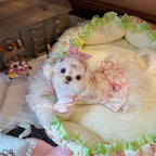 Bunny Print Strawberry Pet Dress for Small Dogs & Cats Pet Dress Miya