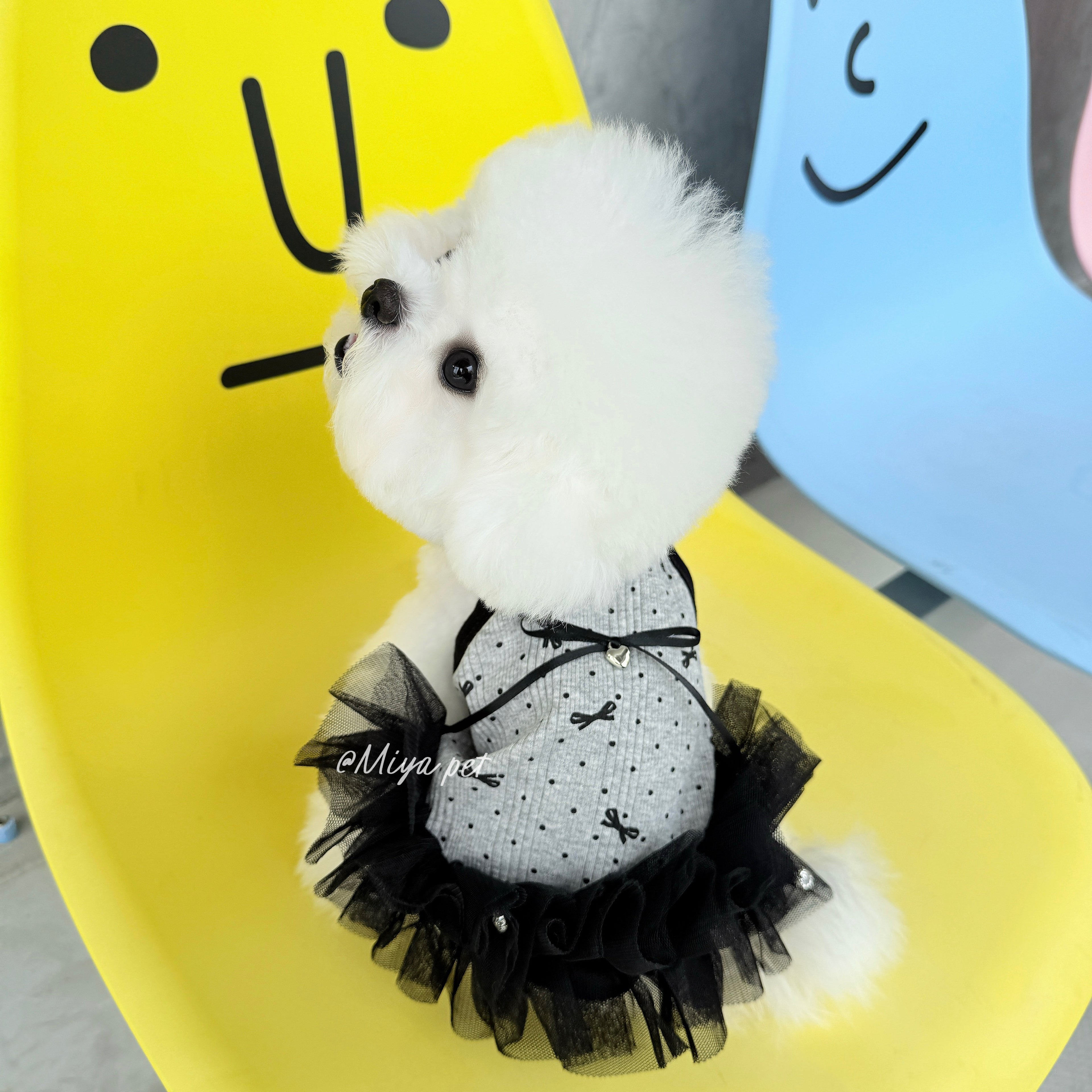 Black Tulle Tutu Pet Dress with Rhinestone Bow for Small Dogs & Cats Pet Dress Miya
