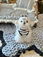 Striped Denim Patch Pet Tank Top for Small Dogs & Cats Pet Top Miya