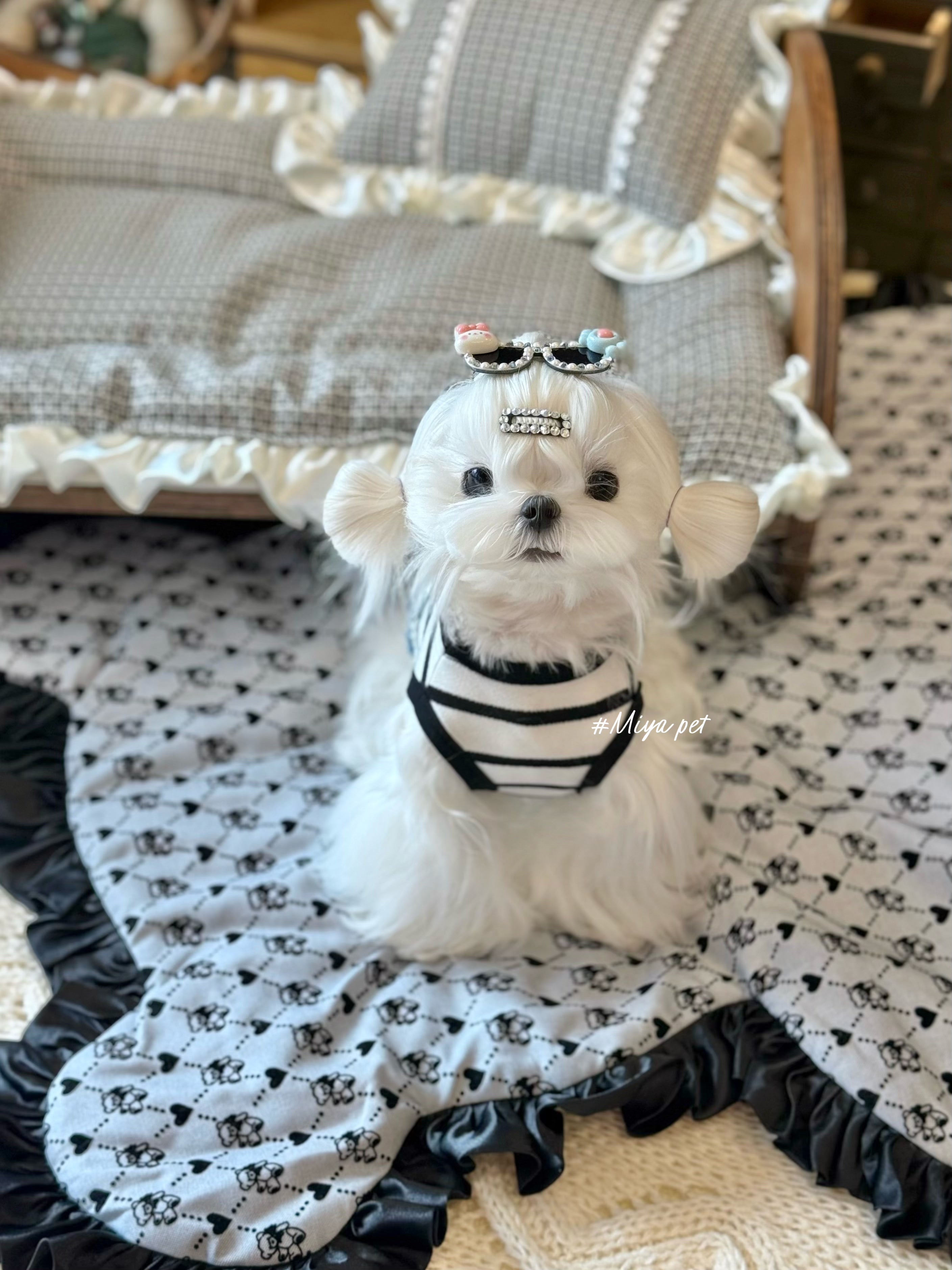 Striped Denim Patch Pet Tank Top for Small Dogs & Cats Pet Top Miya