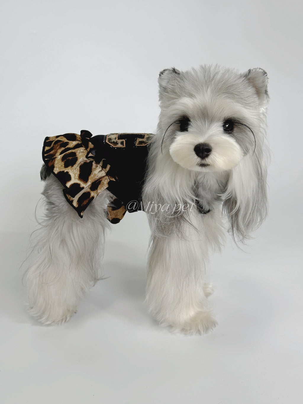Leopard Print Streetwear Pet Outfit for Small Dogs & Cats Pet Top Miya