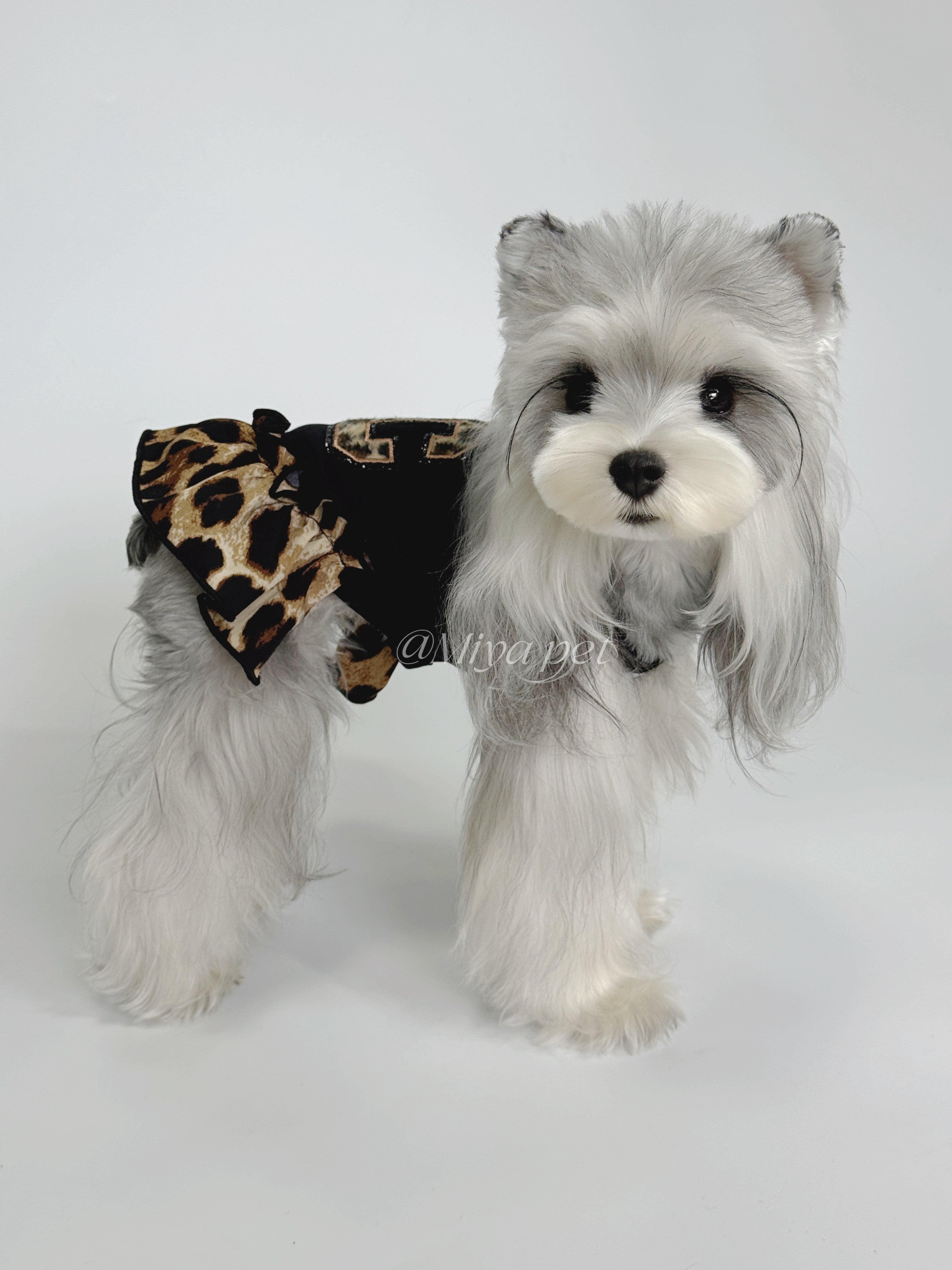 Leopard Print Streetwear Pet Outfit for Small Dogs & Cats Pet Top Miya