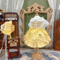 Amya - Gingham Duck & Pineapple Pet Dress Pet Dress Amya