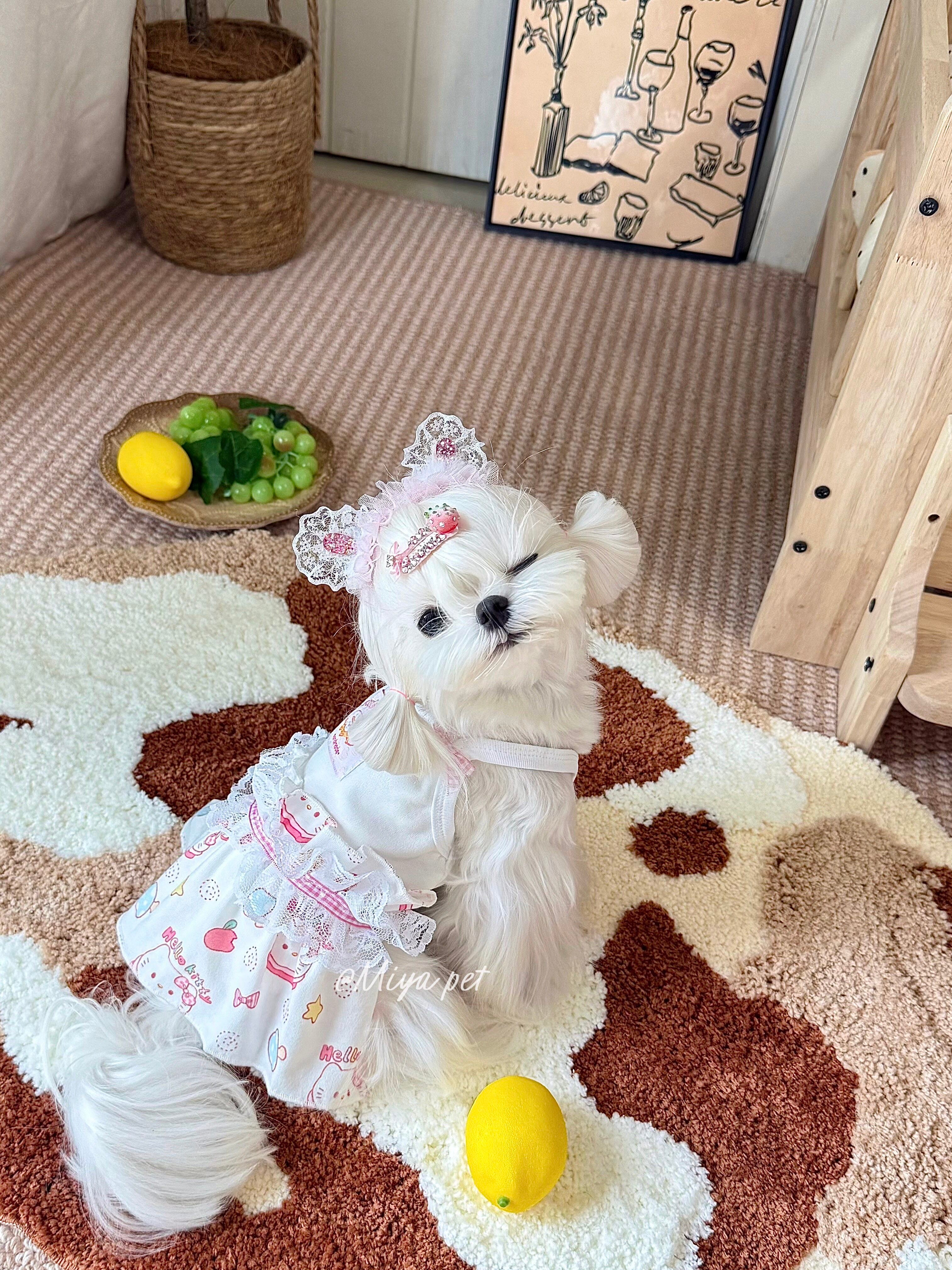 Sweet Heart Lace Pet Dress with Cartoon Print for Small Dogs & Cats Pet Dress Miya