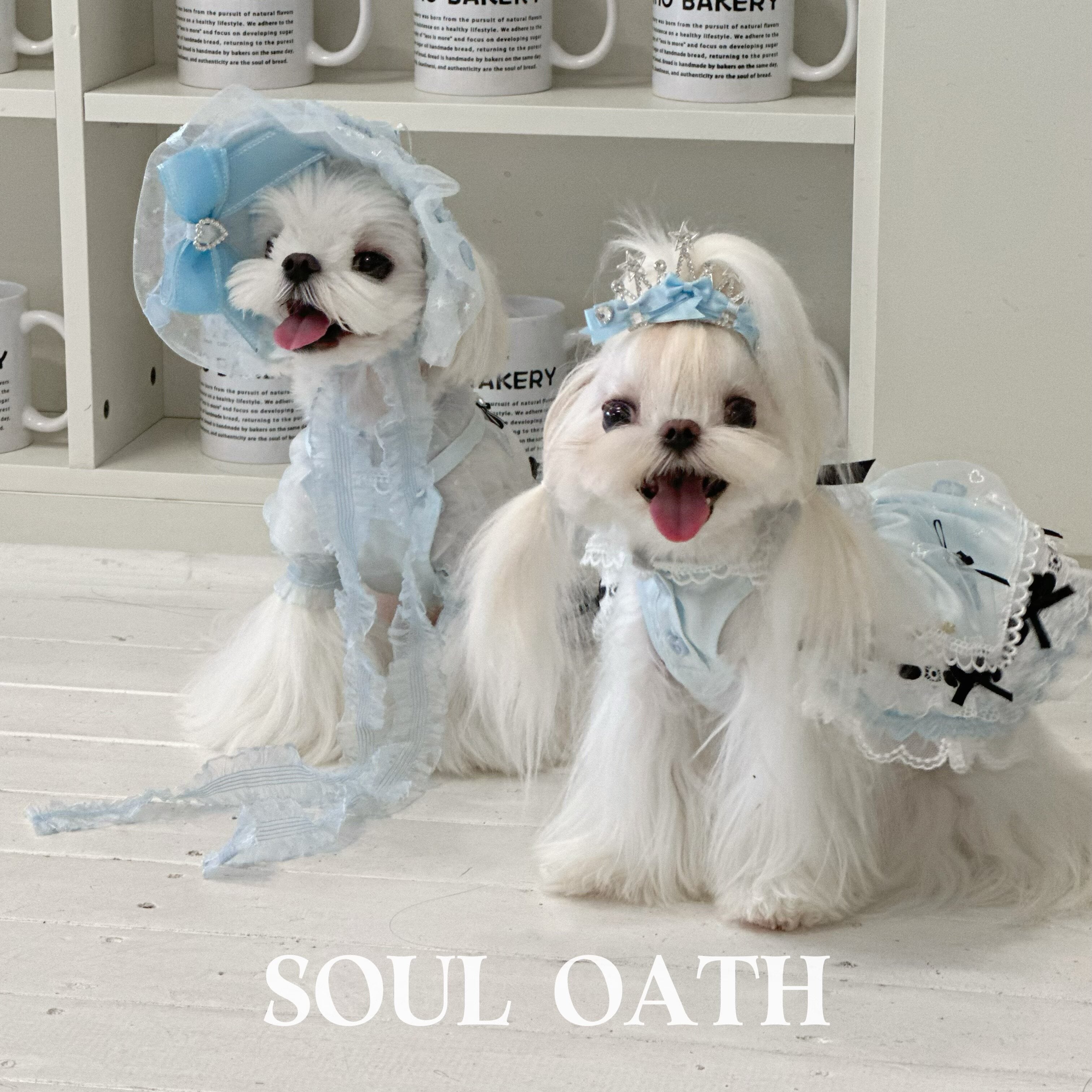 Alice in Wonderland Luxury Dog Dress Set | Princess Gown with Crown & Bonnet for Small Dogs Pet Dress SOUL OATH