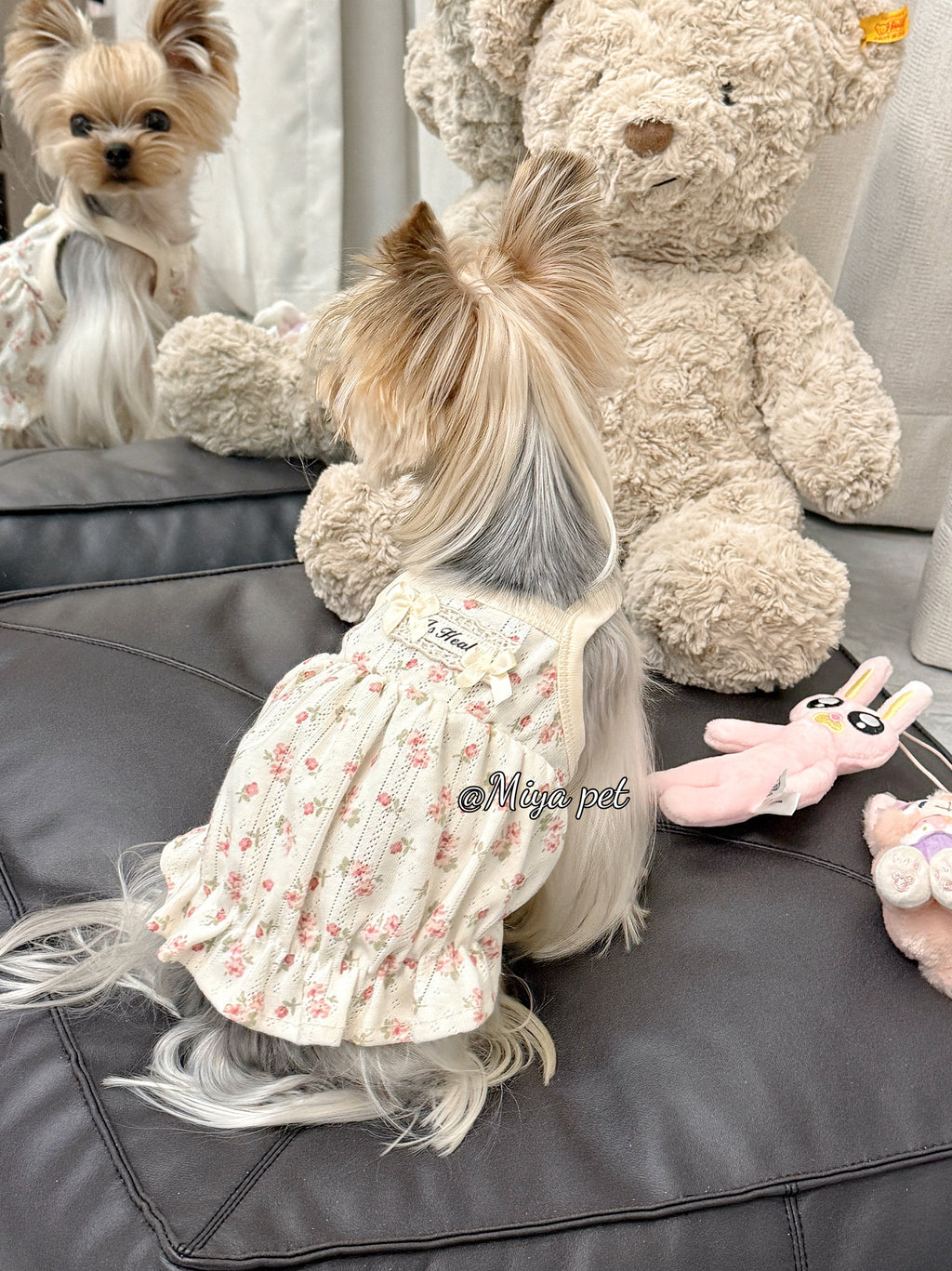 Floral Bubble Hem Cotton Camisole Pet Dress for Small Dogs & Cats Pet Dress Miya