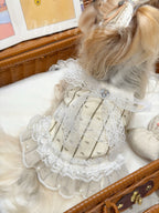 Pearl Lace Cami Pet Dress Pet Dress Miya