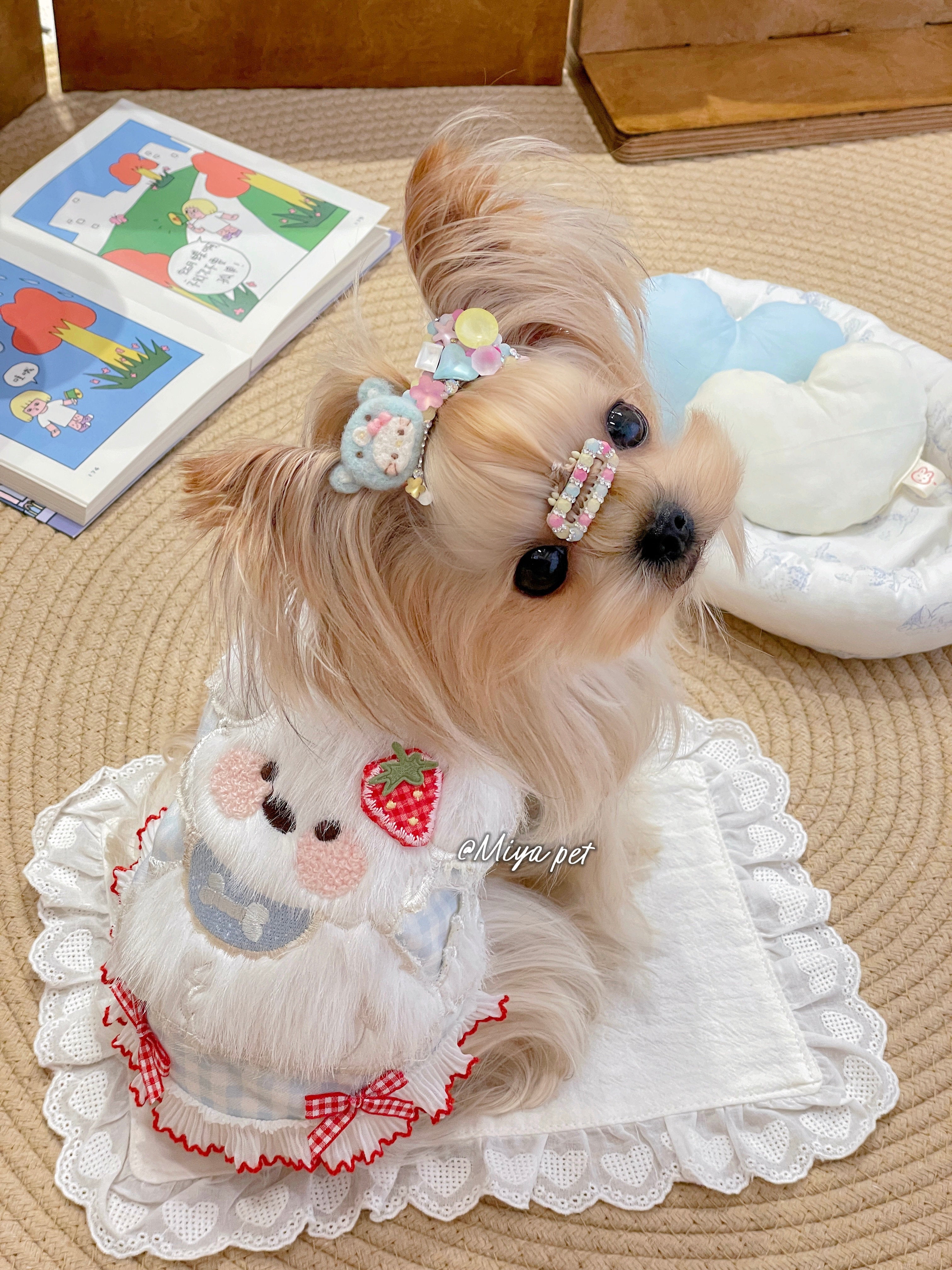 Fuzzy Puppy Gingham Pet Tank Top for Small Dogs & Cats Pet Top Miya