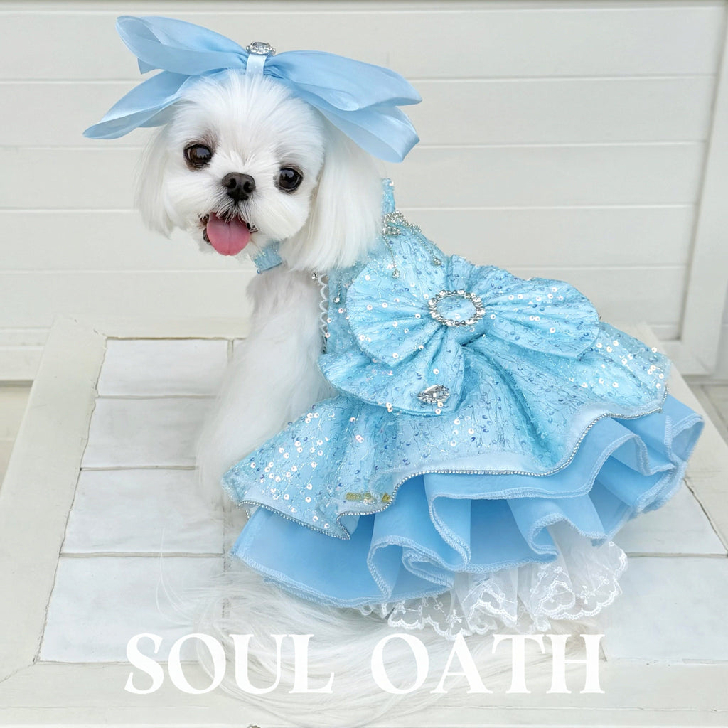 Cinderella Princess Dog Dress | Fairy Tale Sequin Tulle Pet Gown for Small Dogs Pet Dress SOUL OATH