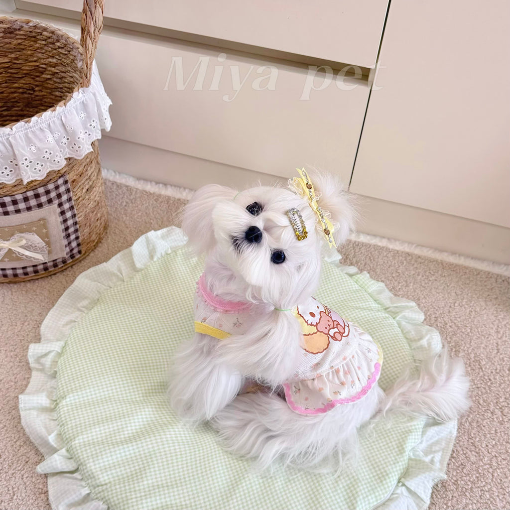 Dopamine Color Block Pet Dress Pet Dress Miya