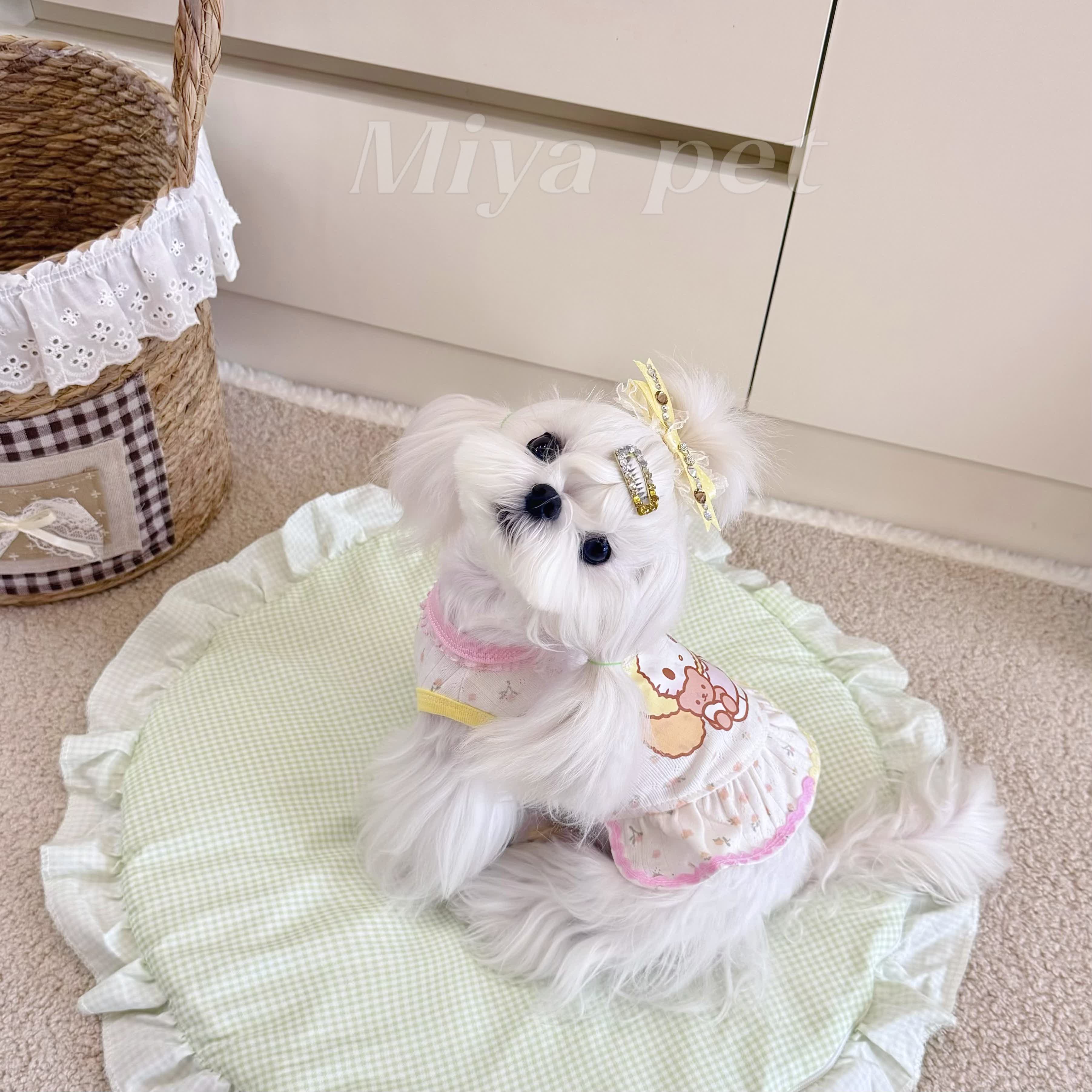 Dopamine Color Block Pet Dress Pet Dress Miya