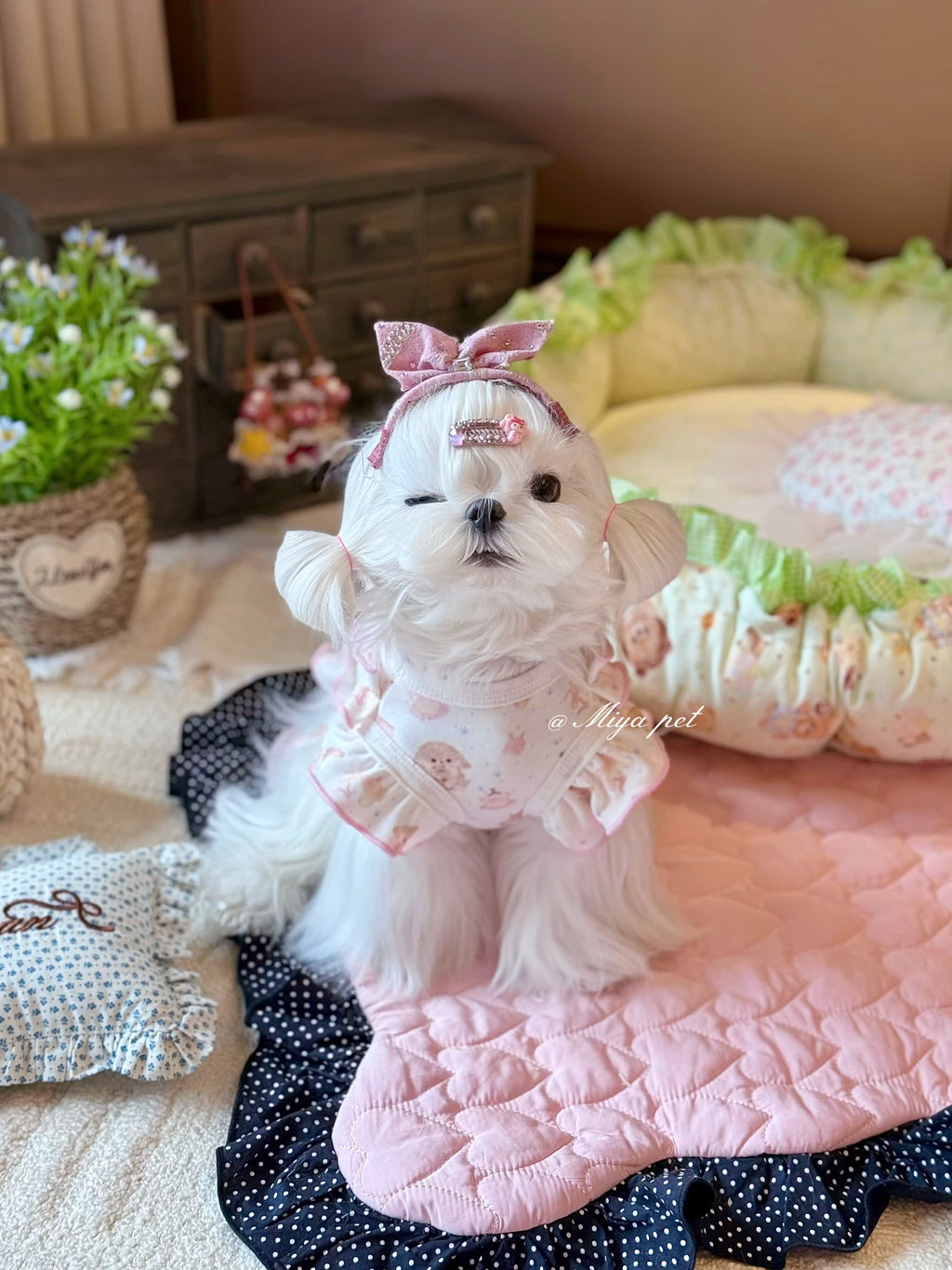 Bunny Print Strawberry Pet Dress for Small Dogs & Cats Pet Dress Miya