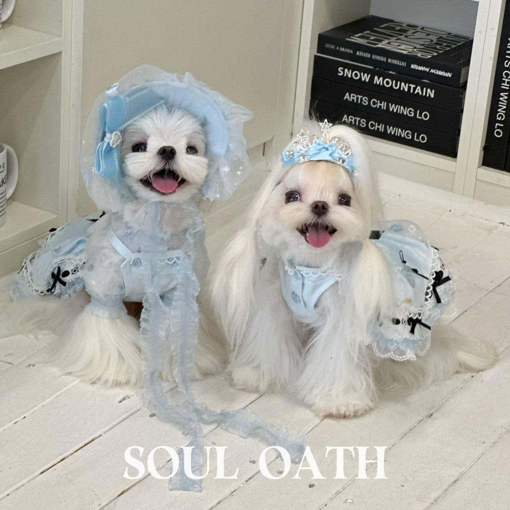 Alice in Wonderland Luxury Dog Dress Set | Princess Gown with Crown & Bonnet for Small Dogs Pet Dress SOUL OATH