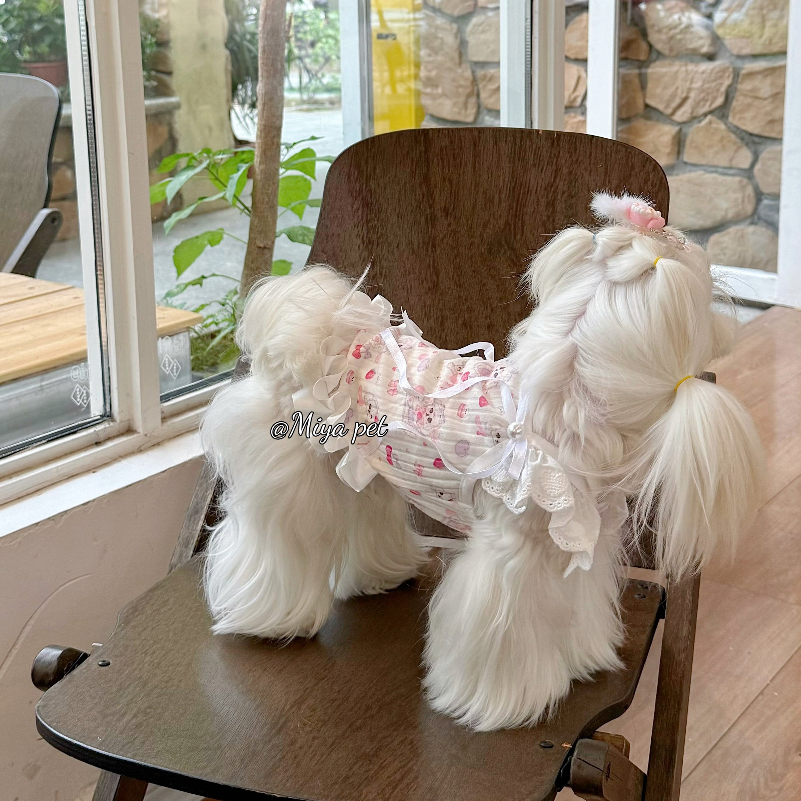 Puppy Print Lace Ribbon Camisole Pet Dress for Small Dogs & Cats Pet Dress Miya