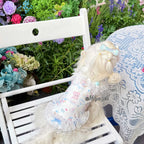 Bear Print Lace Camisole Pet Dress for Small Dogs & Cats Pet Dress Miya