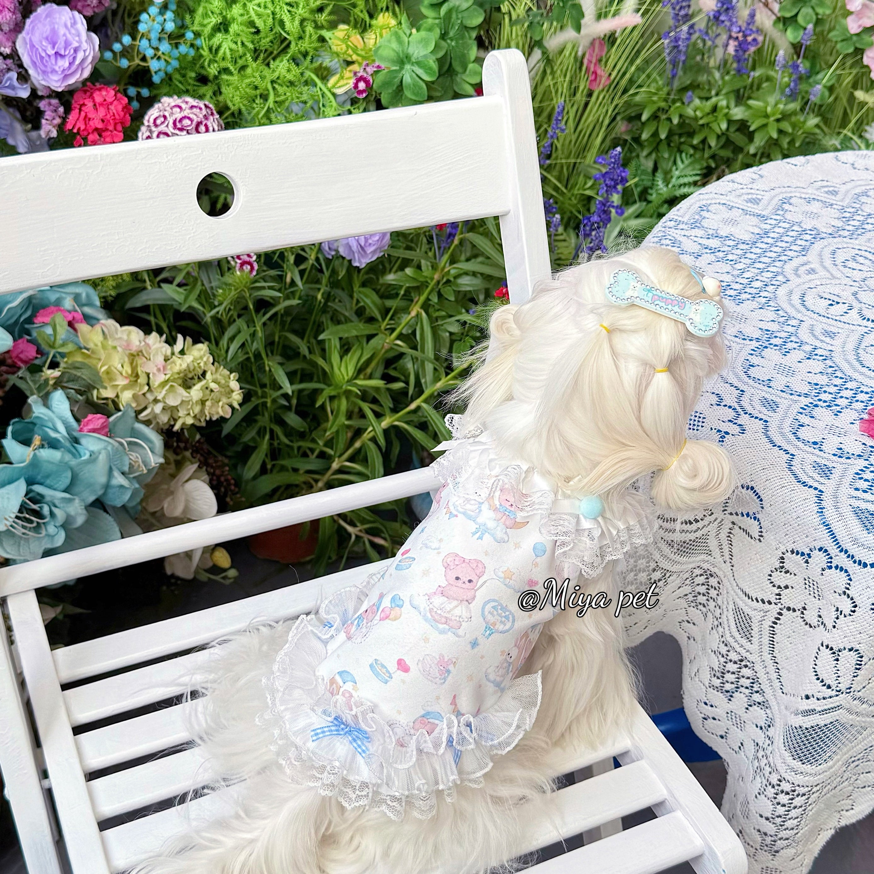 Bear Print Lace Camisole Pet Dress for Small Dogs & Cats Pet Dress Miya