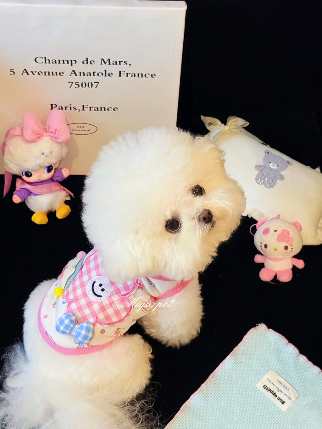 Dopamine Cartoon Flower Fleece Pet Tank Top Pet Top Miya