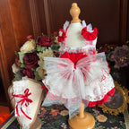 Amya - Red Polka Dot Lolita Pet Dress Pet Dress Amya