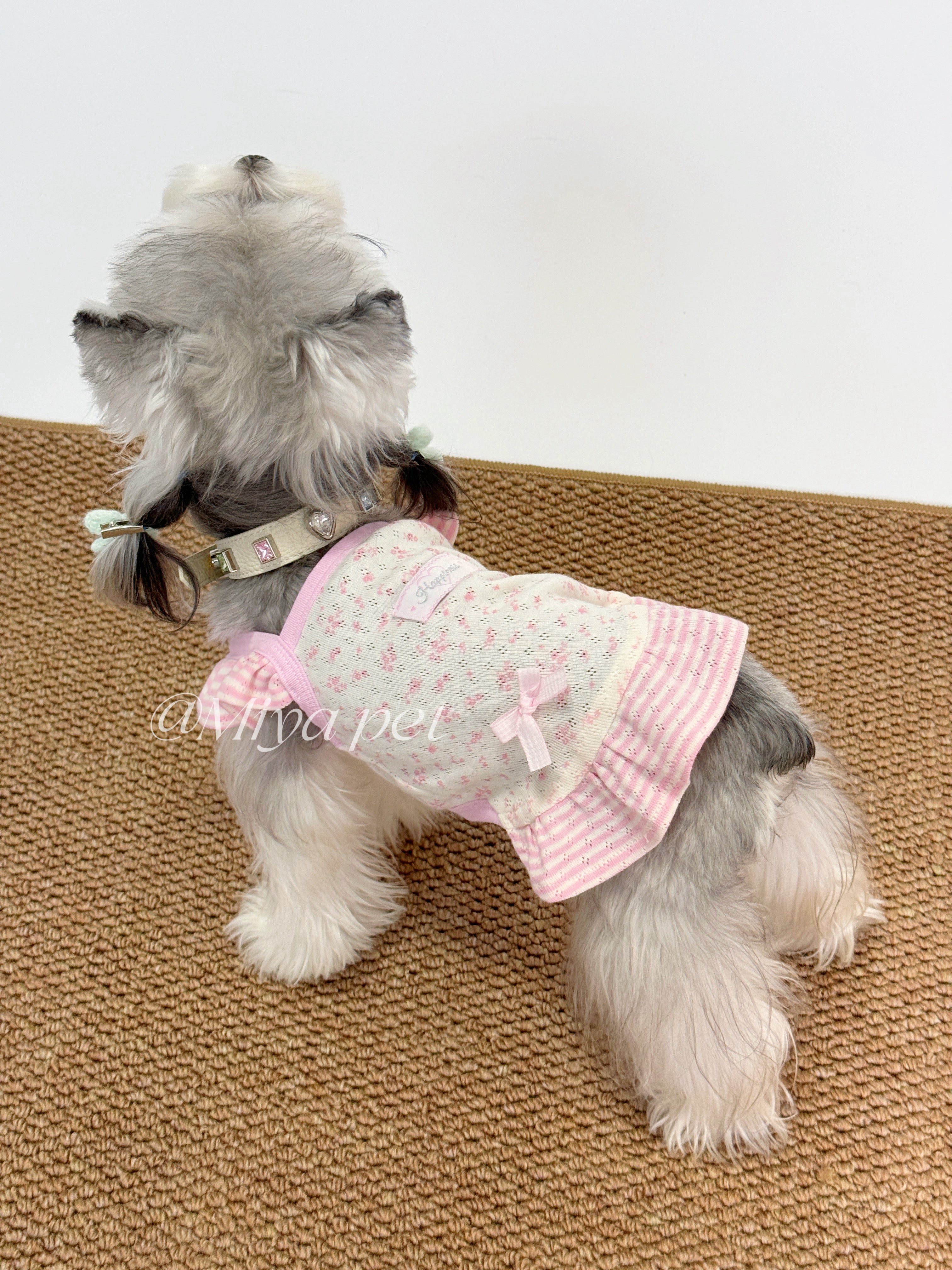 Floral Mesh Ruffle Pet Dress for Small Dogs & Cats Pet Dress Miya