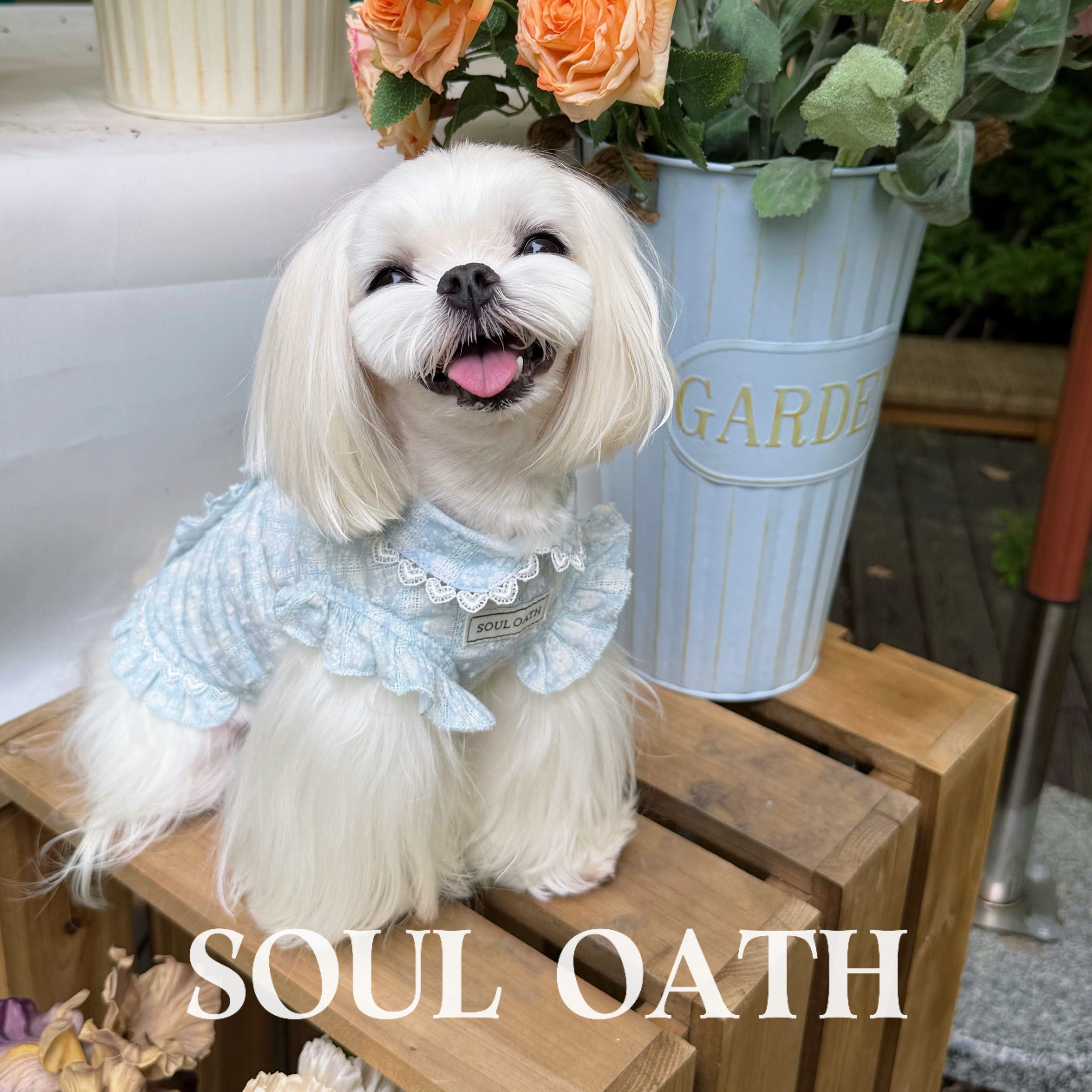 Cooling Summer Dog Shirt | Lightweight Anti-Shedding & Breathable Pet Clothes for Small Dogs Pet Dress SOUL OATH