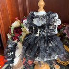 Amya - Noir Lace Gothic Pet Dress Pet Dress Amya