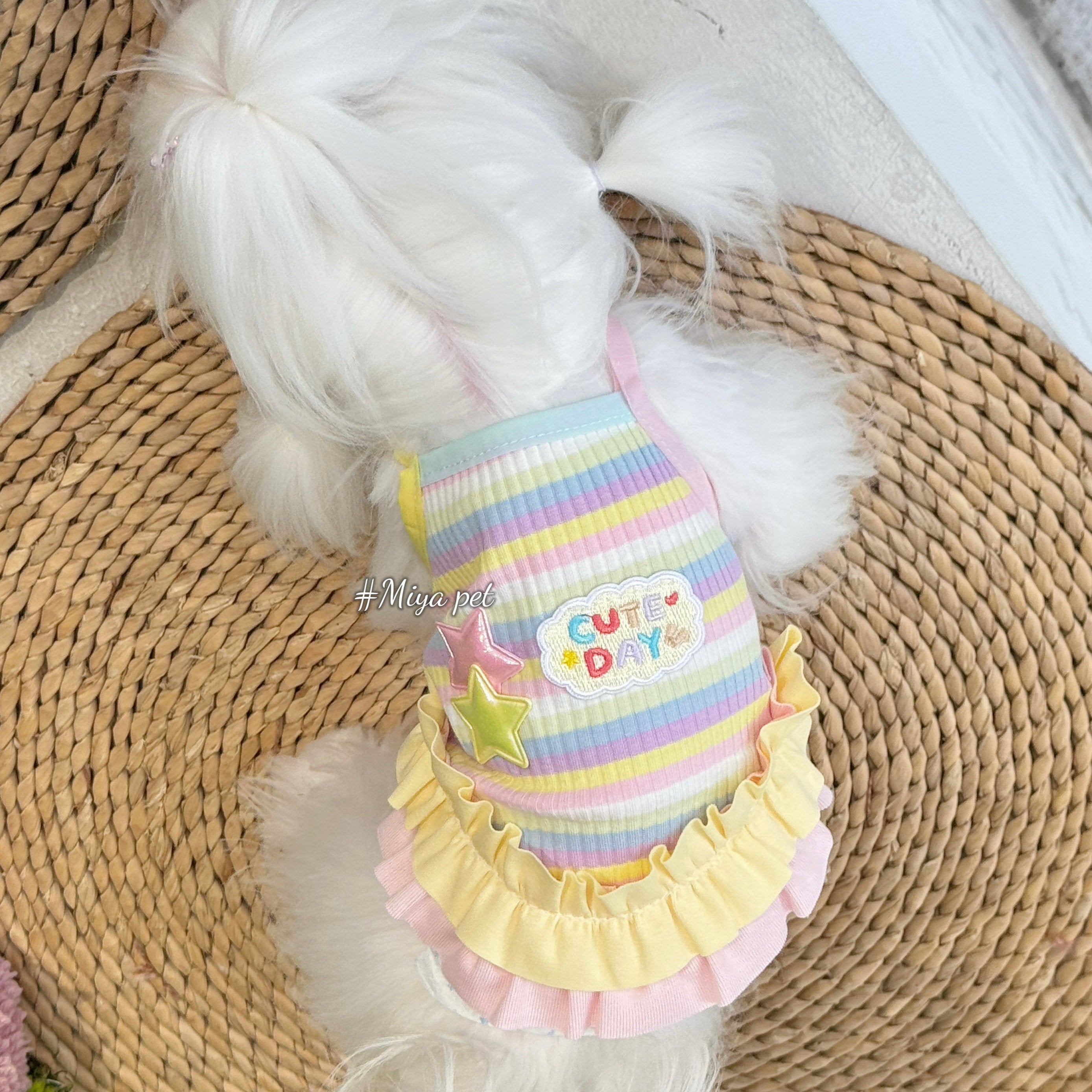 Dopamine Macaron Stripe Rib Knit Pet Dress for Small Dogs & Cats Pet Dress Miya