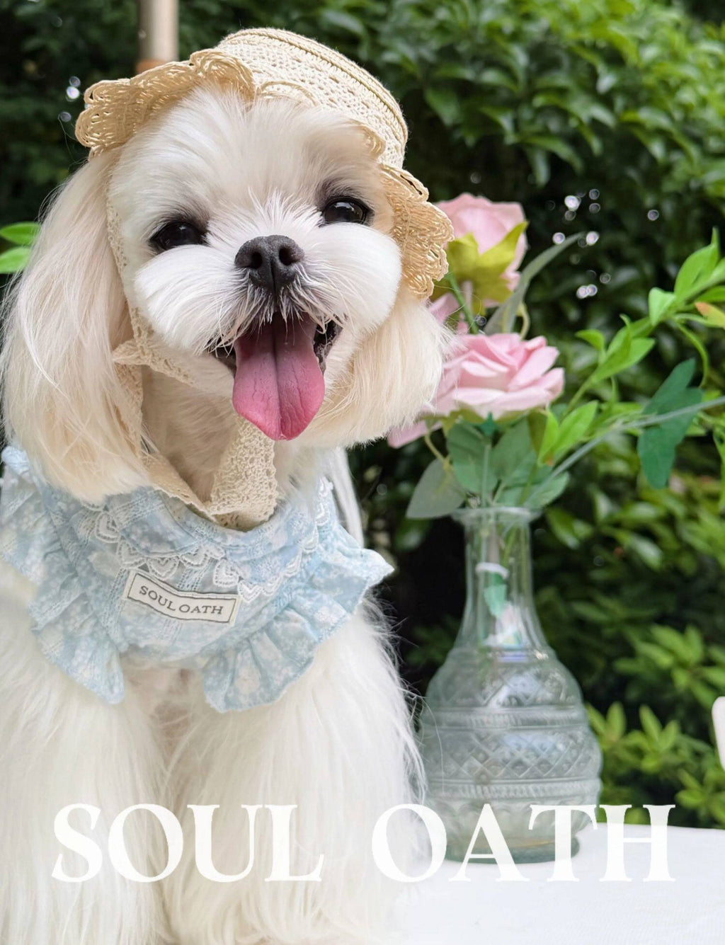 Cooling Summer Dog Shirt | Lightweight Anti-Shedding & Breathable Pet Clothes for Small Dogs Pet Dress SOUL OATH