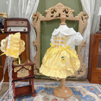 Amya - Gingham Duck & Pineapple Pet Dress Pet Dress Amya