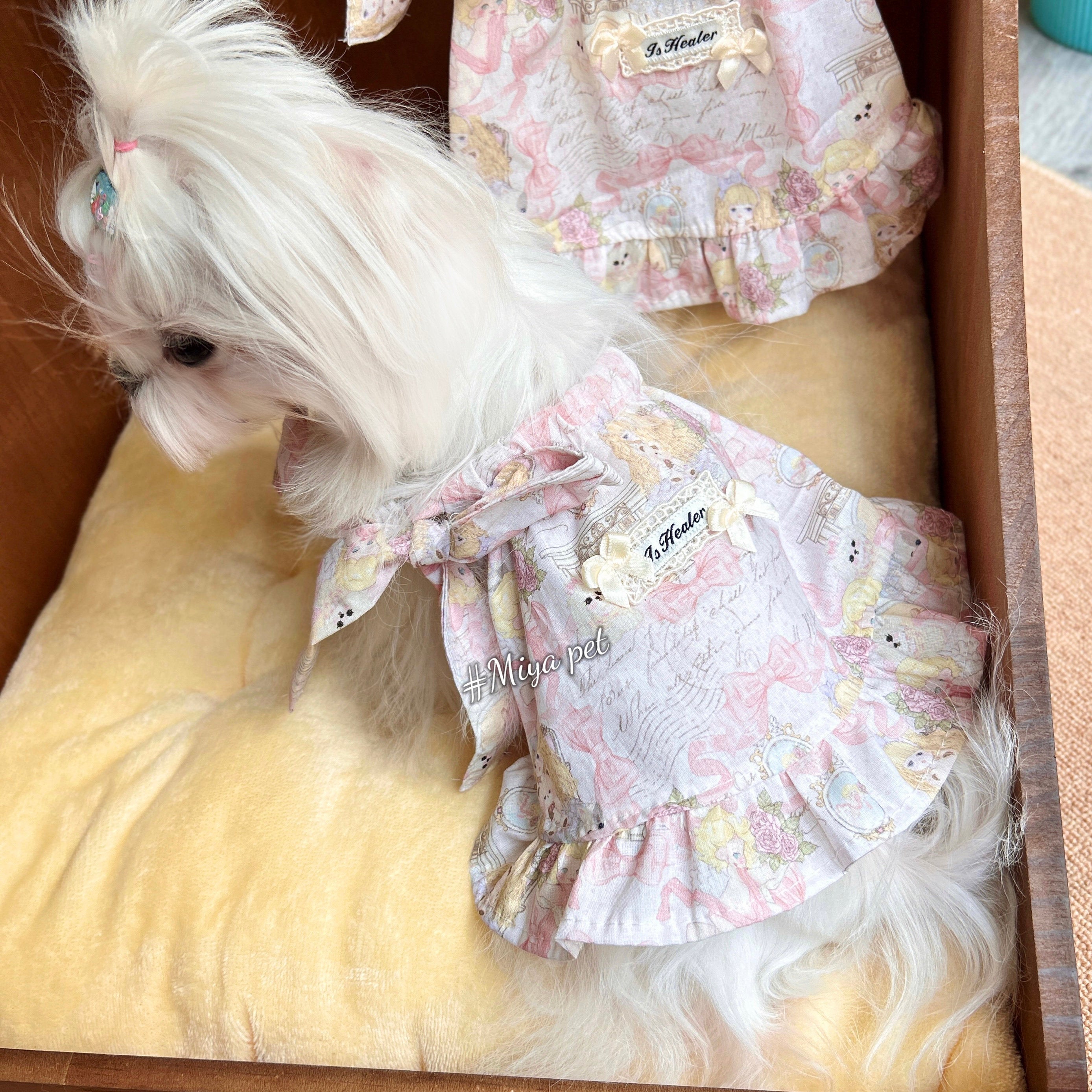 Monet Garden Print Cotton Pet Dress Pet Dress Miya