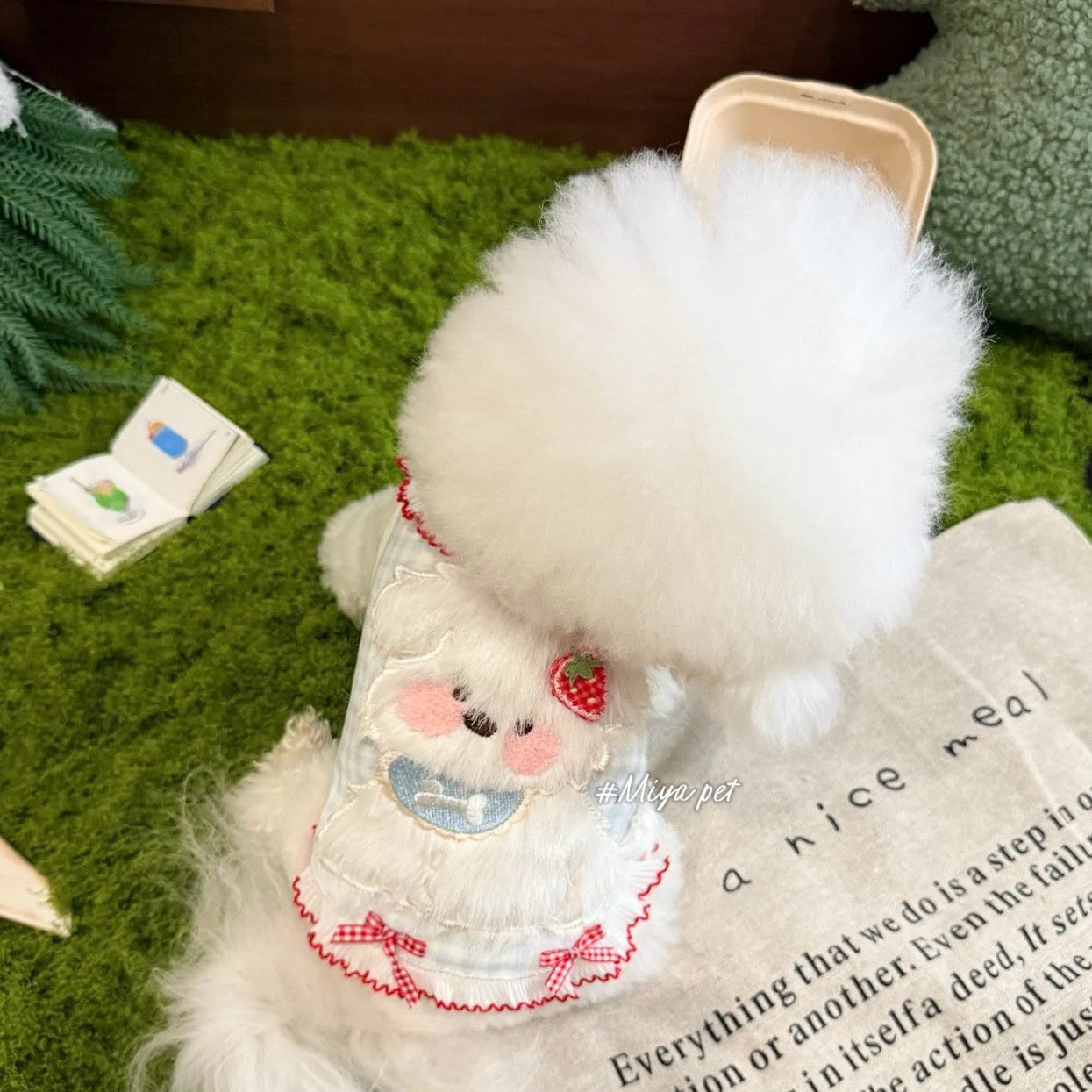 Fuzzy Puppy Gingham Pet Tank Top for Small Dogs & Cats Pet Top Miya