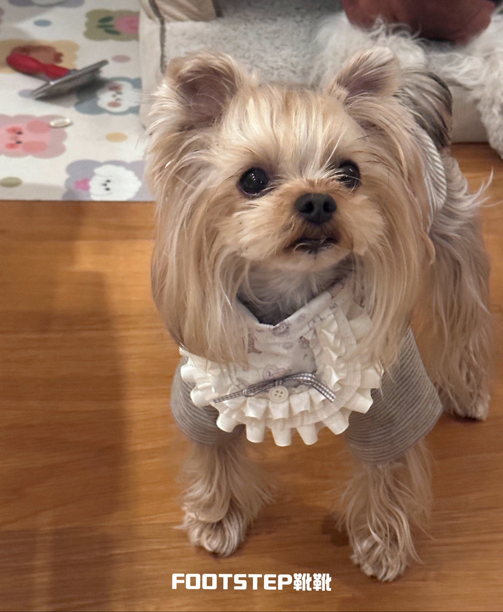 FOOTSTEP - Little Milk Bottle Cartoon Double Ruffle Pet Bib Pet Bibs FOOTSTEP