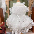 Amya - White Star Lolita Pet Dress Pet Dress Amya
