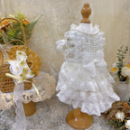 Amya - White Lolita Pet Dress Pet Dress Amya