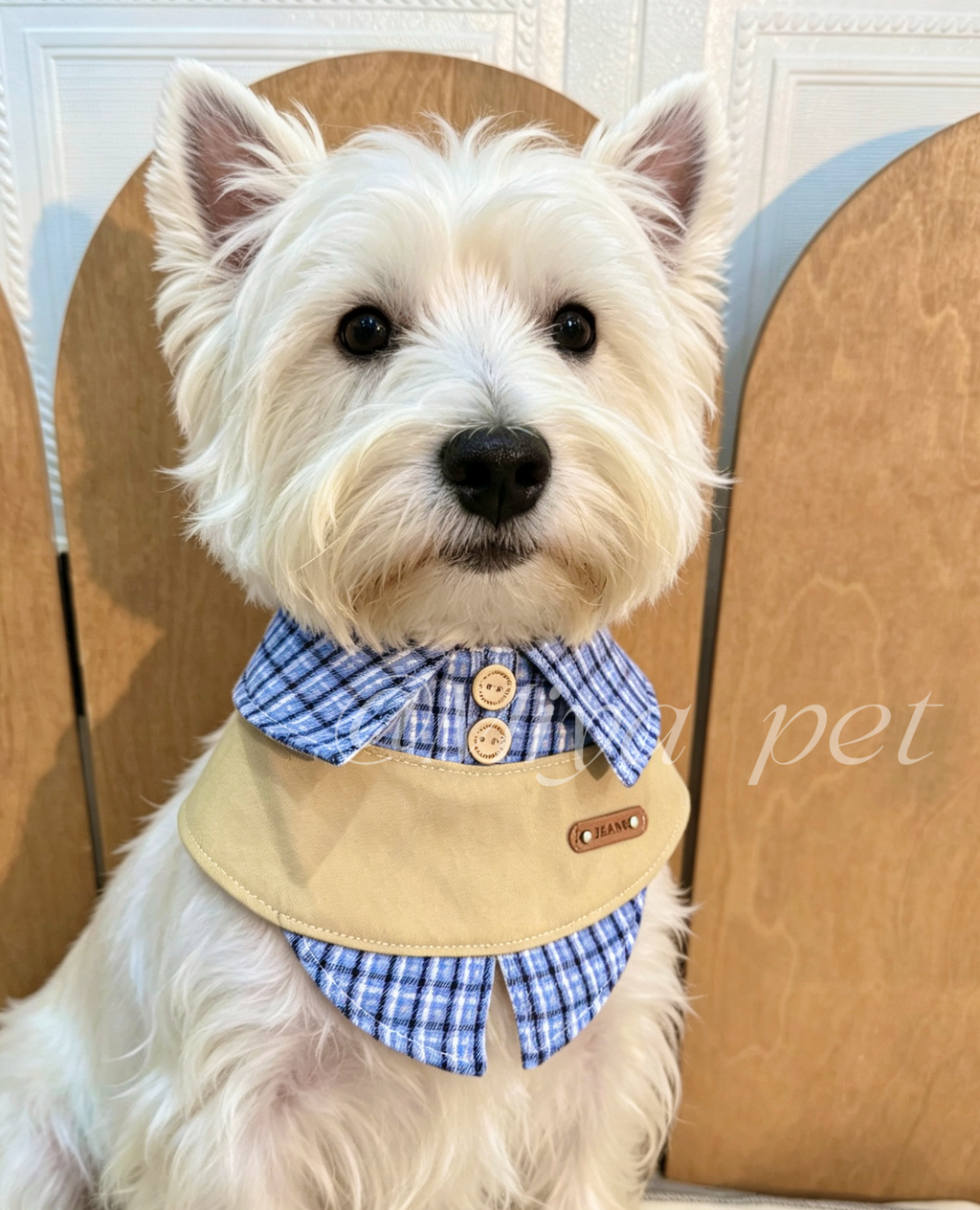 Plaid Preppy Pet Bib for Small Dogs & Cats Pet Bibs Miya