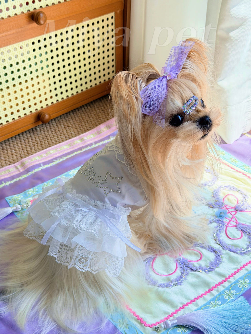 Rhinestone Crown Lace Pet Dress Pet Dress Miya