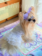 Rhinestone Crown Lace Pet Dress Pet Dress Miya