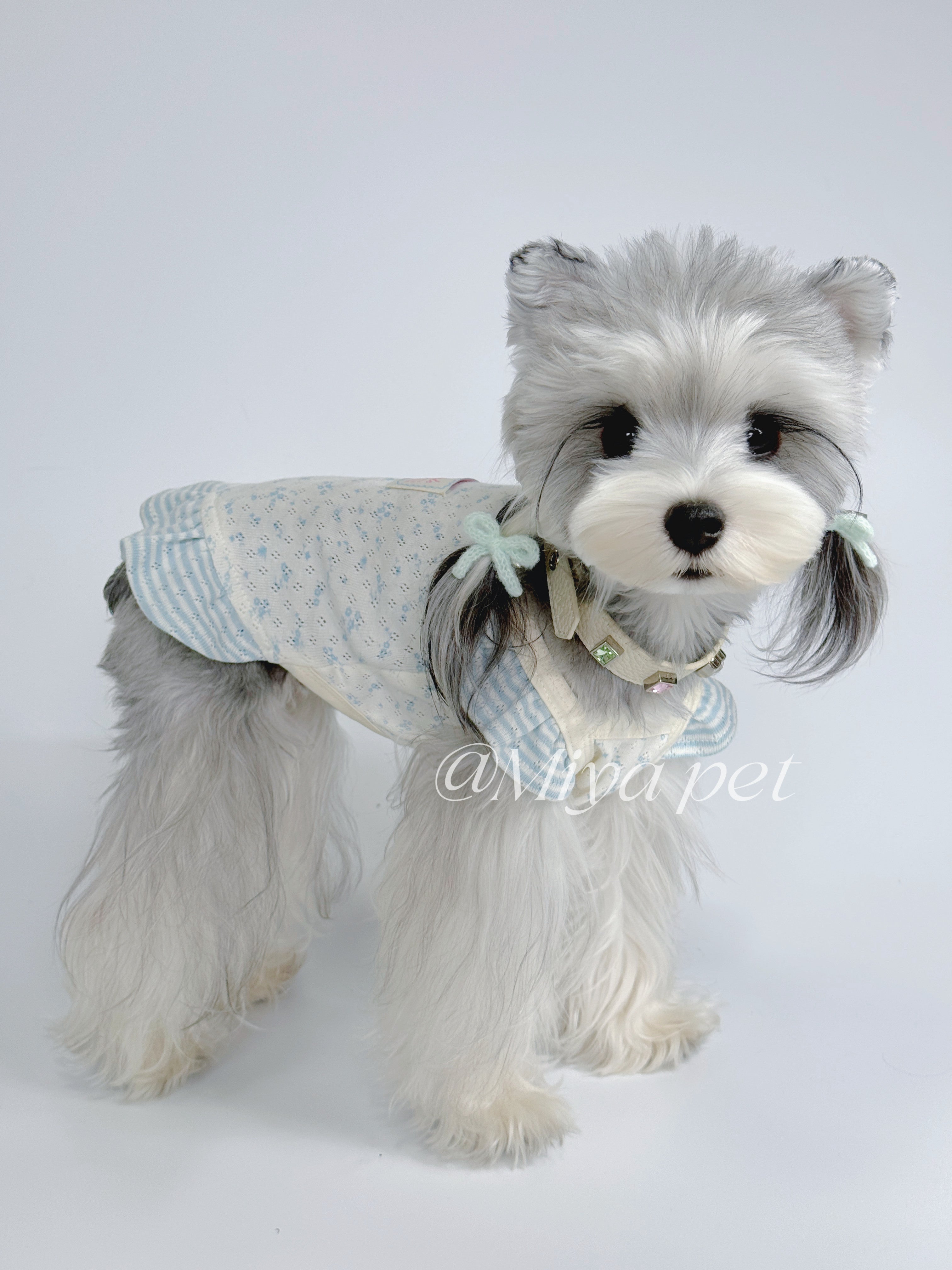 Floral Mesh Ruffle Pet Dress for Small Dogs & Cats Pet Dress Miya