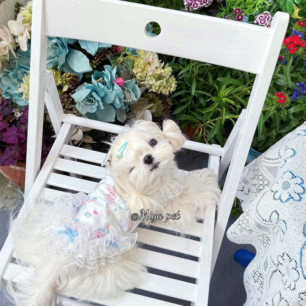 Bear Print Lace Camisole Pet Dress for Small Dogs & Cats Pet Dress Miya