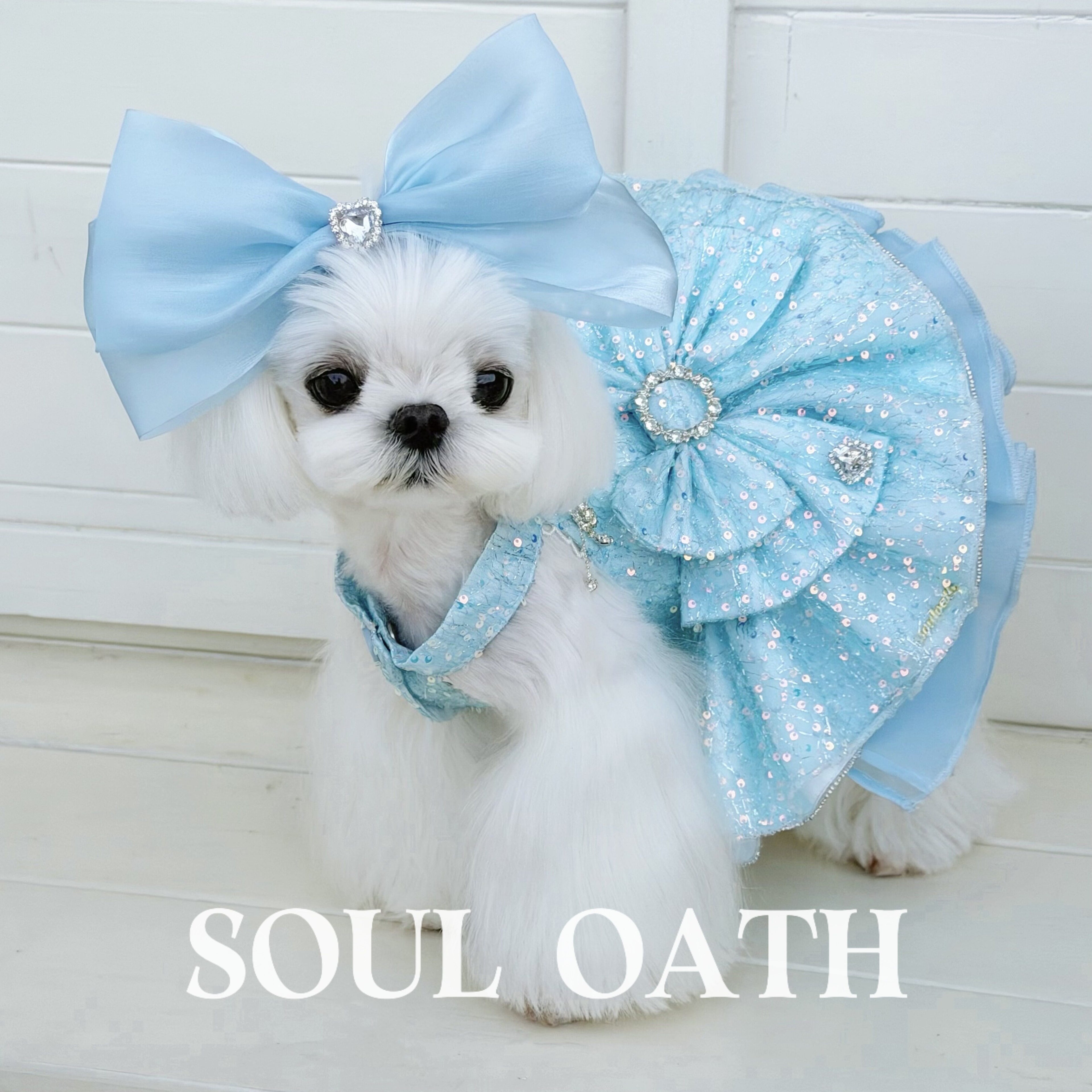 Cinderella Princess Dog Dress | Fairy Tale Sequin Tulle Pet Gown for Small Dogs Pet Dress SOUL OATH