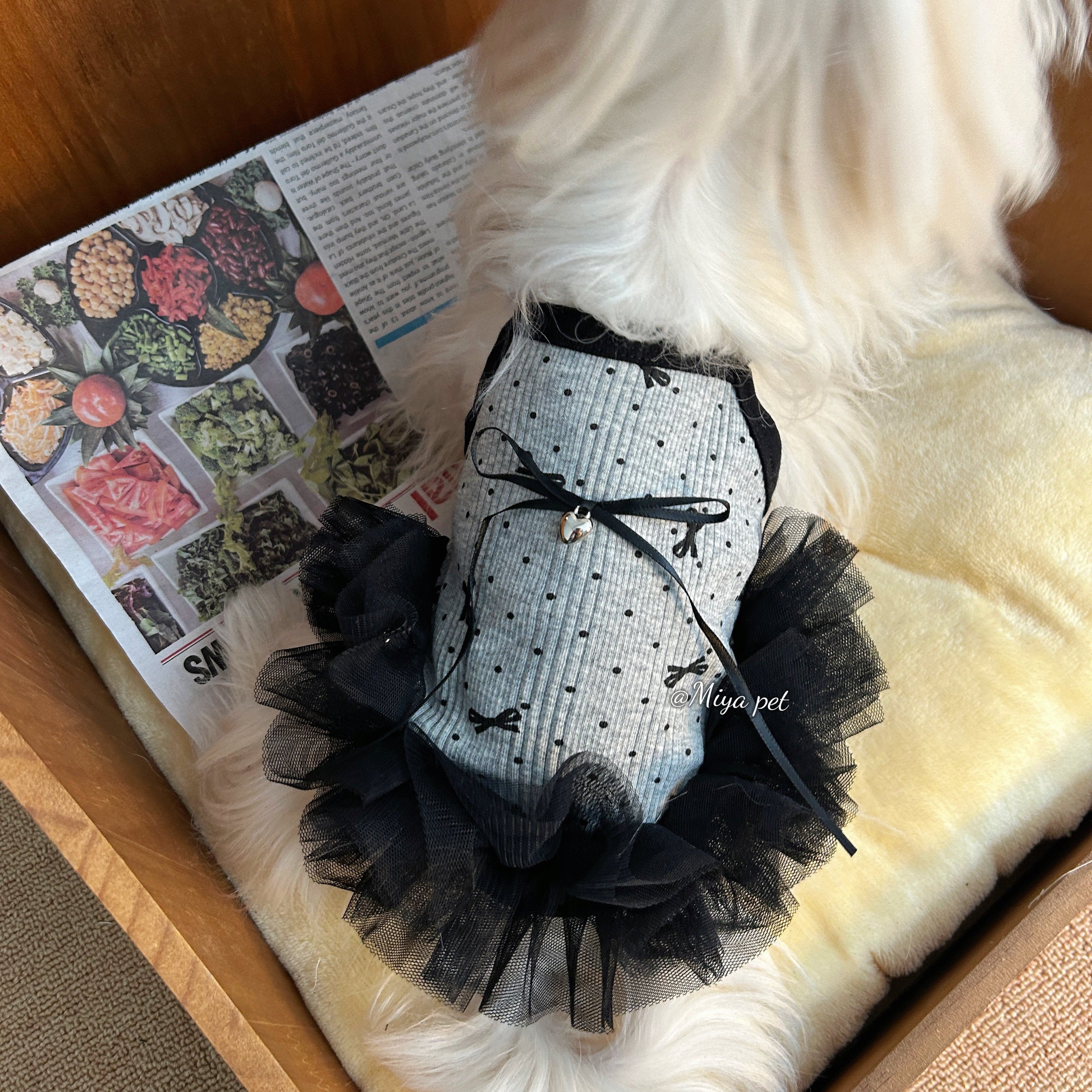 Black Tulle Tutu Pet Dress with Rhinestone Bow for Small Dogs & Cats Pet Dress Miya