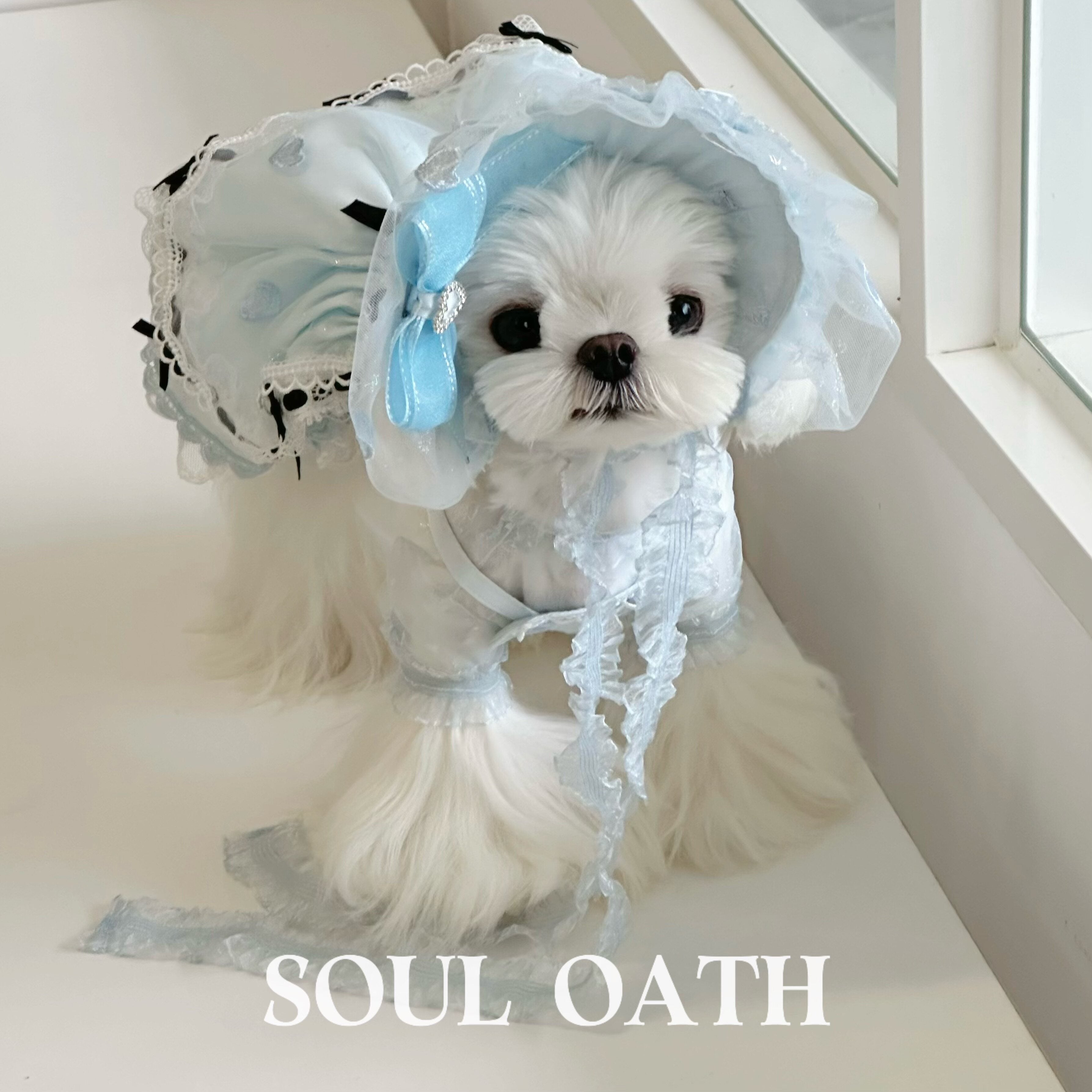 Alice in Wonderland Luxury Dog Dress Set | Princess Gown with Crown & Bonnet for Small Dogs Pet Dress SOUL OATH