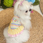 Dopamine Macaron Stripe Rib Knit Pet Dress for Small Dogs & Cats Pet Dress Miya